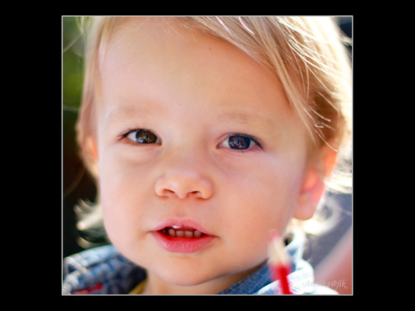 Verschillende ogen (heterochromia)