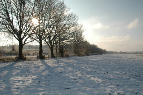 Winter landschap Riel