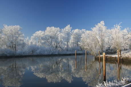 Biesbosch