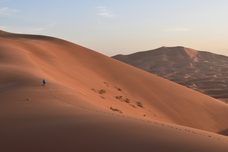 A Desert Walk