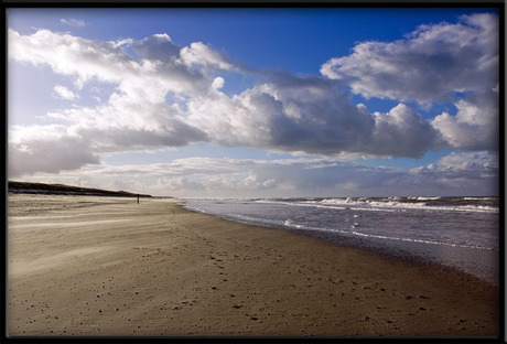 Texel