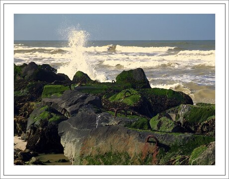 Hoek van Holland