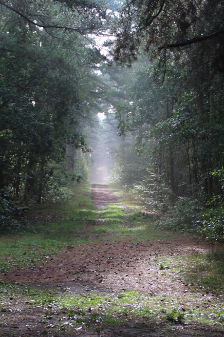 Zondagmiddag op Texel