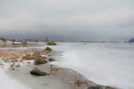 Bostad Lofoten