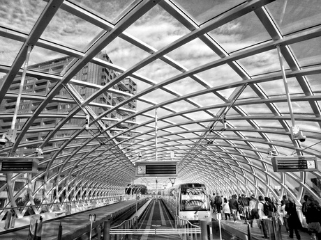 Den Haag Centraal Zwart/wit