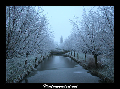 winterwonderland