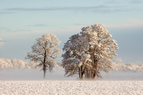 winterpracht.