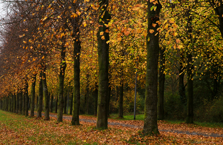Autumn In Groningen (InspireMediaGroningen