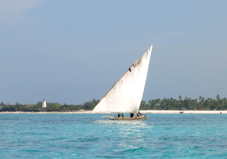 Vissers van Zanzibar