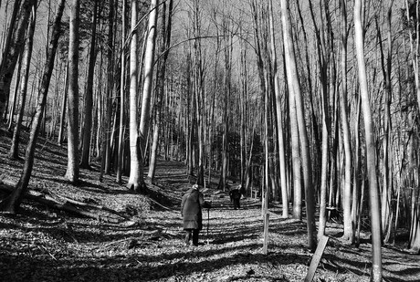 winterwandeling op Kessel Alm in z/w