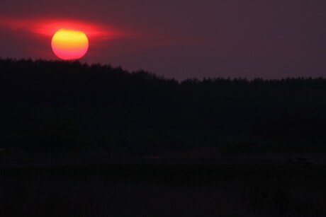 Zonsondergang Oostvaardersplassen.