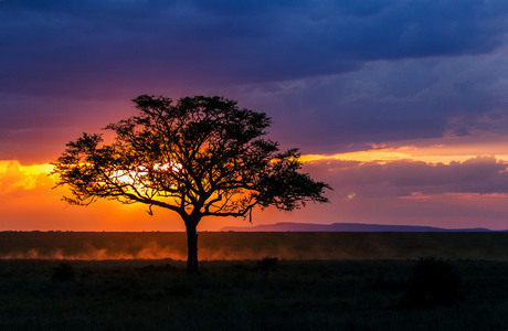 Ondergaande zon Serengeti
