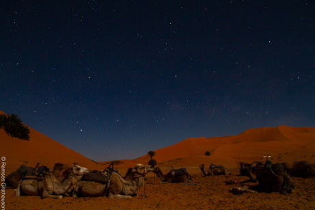 Sahara bij nacht