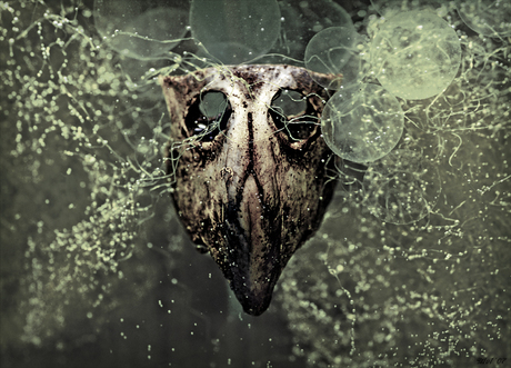 Party untill the end..