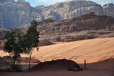 Woestijn Wadi Rum Jordanie