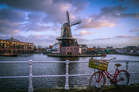 Haarlem molen