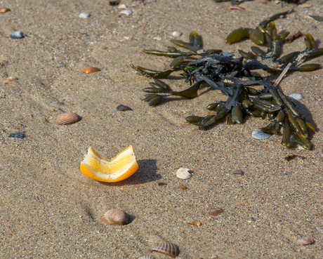 Appelsientje op het strand :)