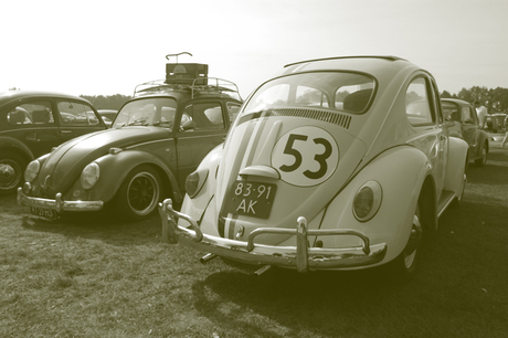 Herbie goes Rosmalen