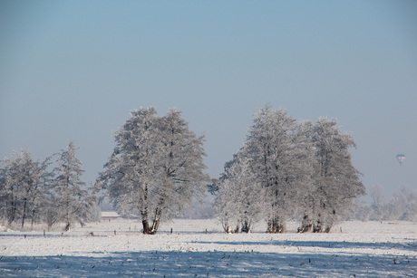 winterlandschap