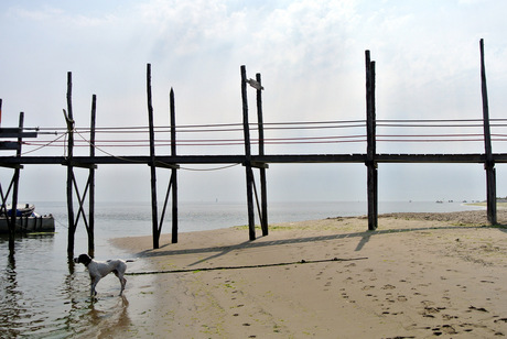 Steiger boot naar Vlieland