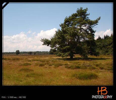 HB Veluwe