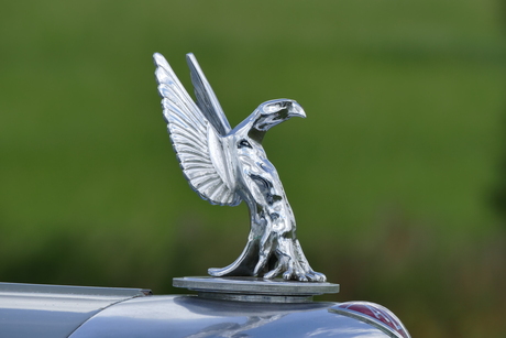 Oldtimer embleem