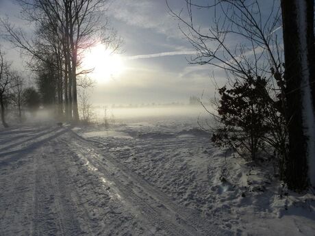 Winter in Veghel