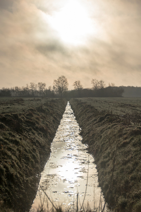 Landschap in het hoge Noorden