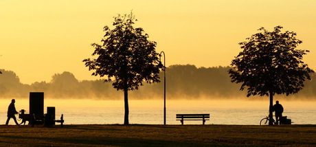 Ochtendzon en mist