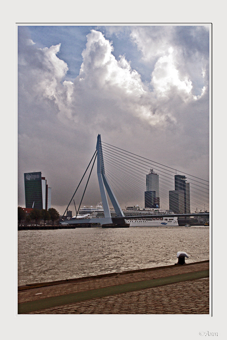 Rotterdam..