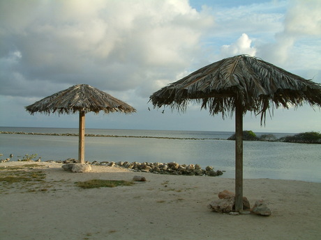 Parasols op het strand van Aruba