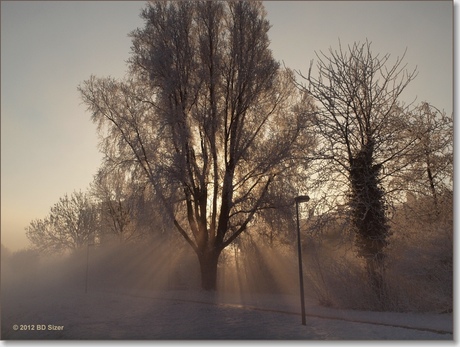 Winter in Alkmaar