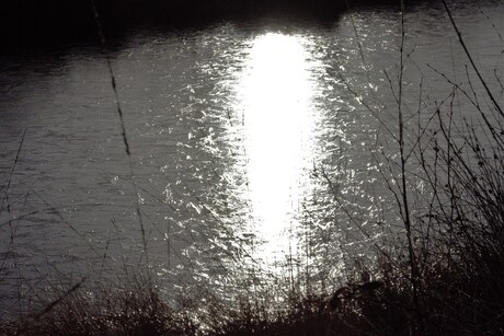 sun in the water
