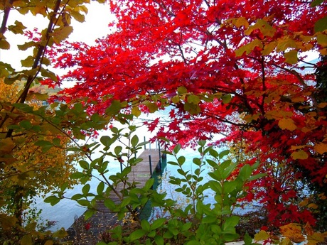 HERFST IN ZWITSERLAND