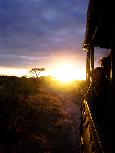 Vakantie Tanzania