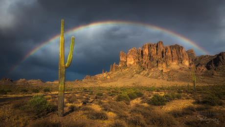 Saguaro rainbow