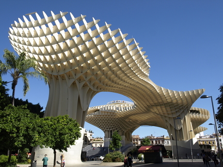 Plein in Sevilla