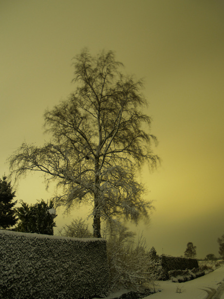Sneeuw in het donker 2