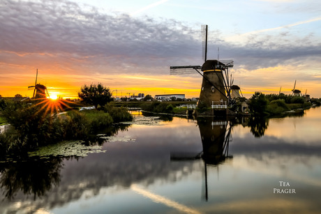 Molens kinderdijk