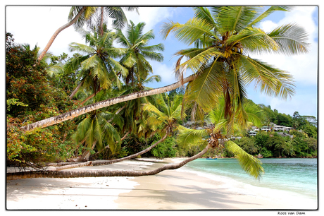 palmbeach The Seychelles