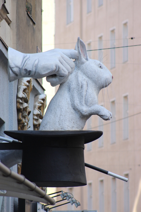 Rabbit in the Hat