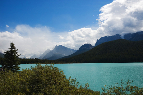 Waterfowl Lake