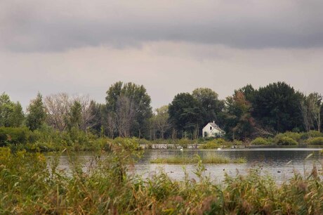 Biesbosch