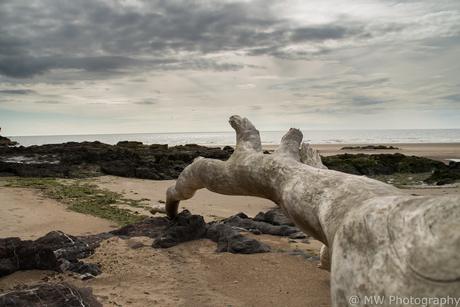 Verlaten stranden