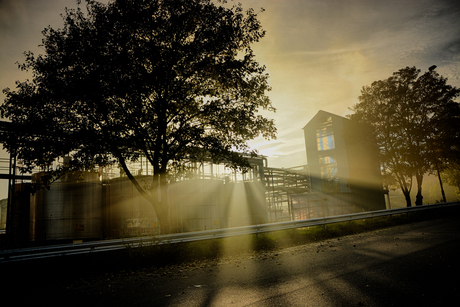 Inge Claessens_landschap