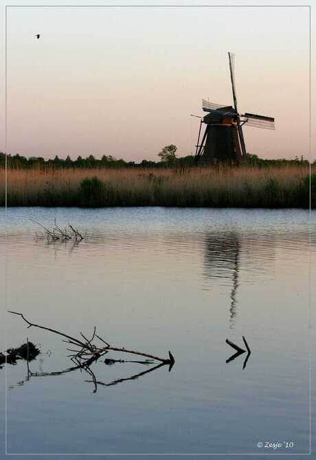 avondje in kinderdijk