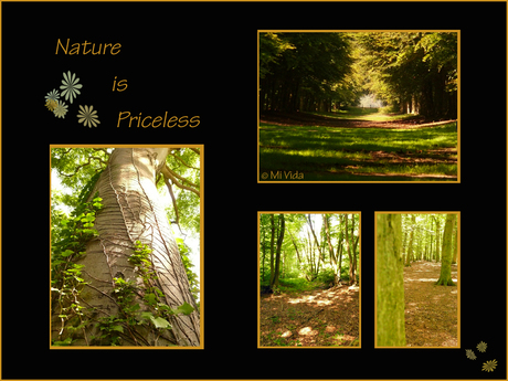 Nature is Priceless