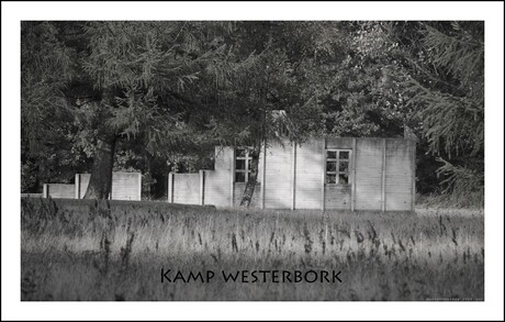 Kamp Westerbork