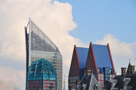 The Hague, old roofs/new roofs