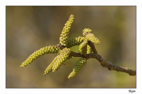 Weer stilaan lente.